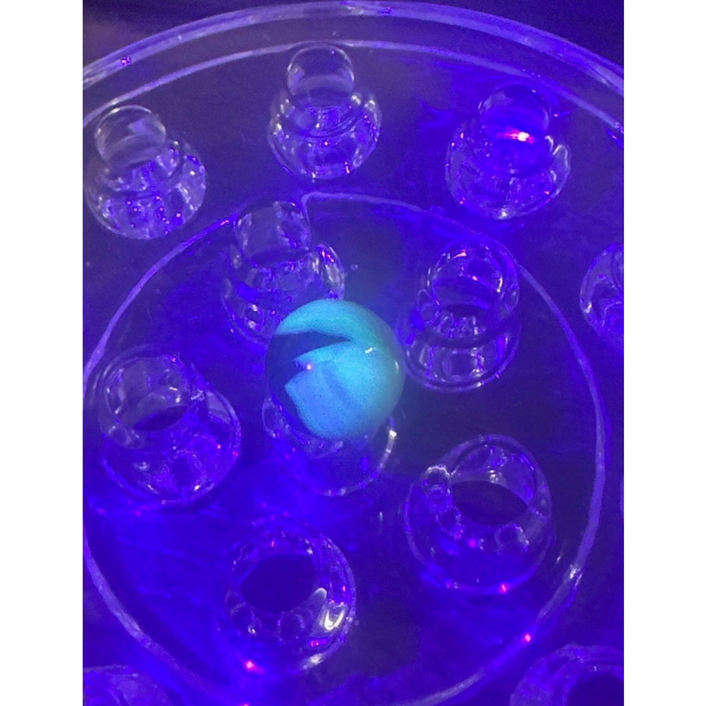 Uranium Glass Corkscrew Dark Blue/Light Blue Combination 5/8" Vitro Agate c.1940